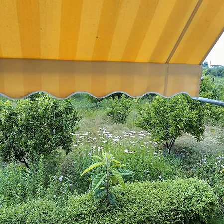 Fetie 펜션 베라트