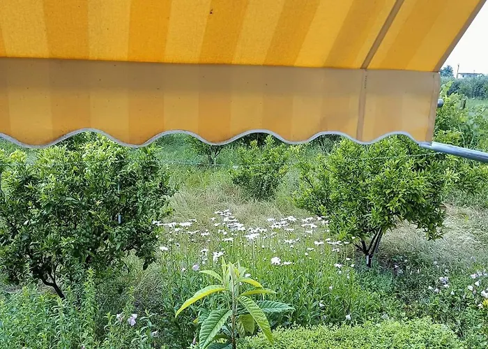 Fetie Сasa de vacaciones Berat