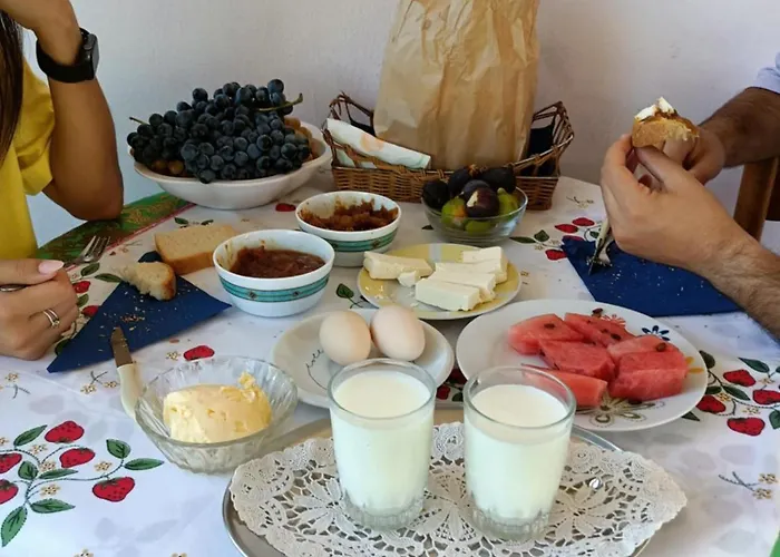 Сasa de vacaciones Fetie Berat