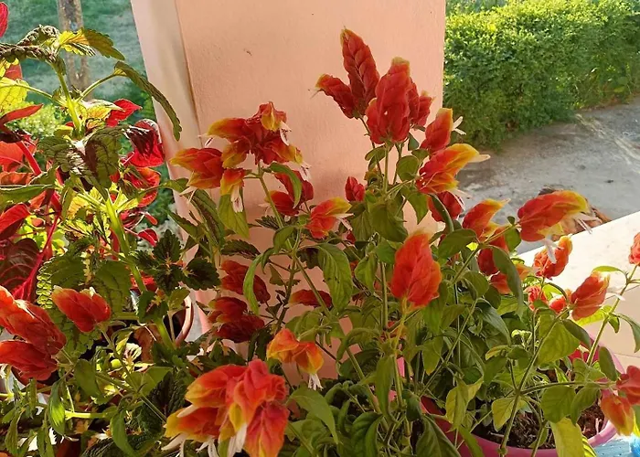 Сasa de vacaciones Fetie *